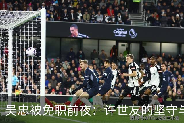 吴忠被免职前夜：许世友的坚守与南集团的决战